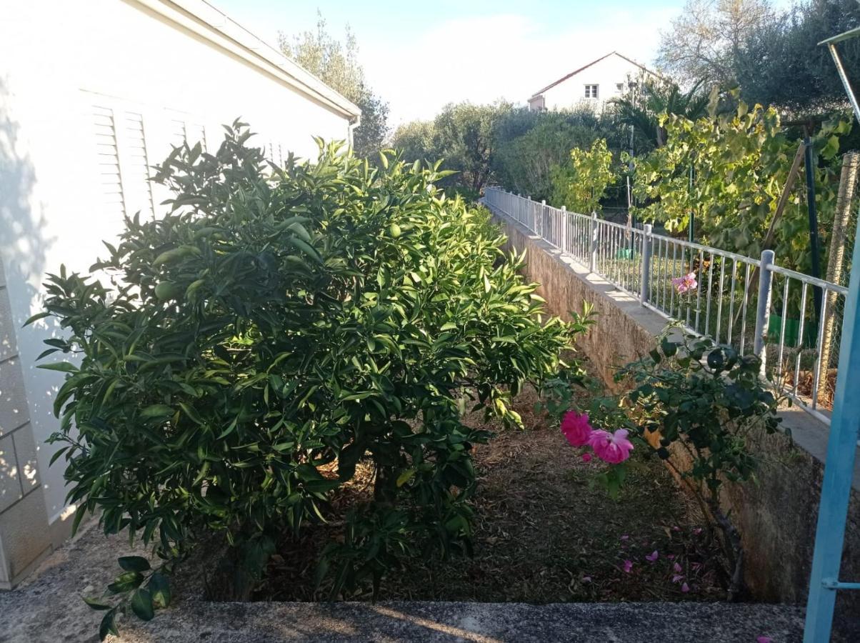 My Mediterranean Villa With Huge Garden And Own Parking Lumbarda Dış mekan fotoğraf